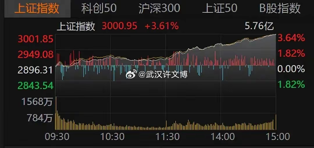 安徽胜荣电子电器 第1149页