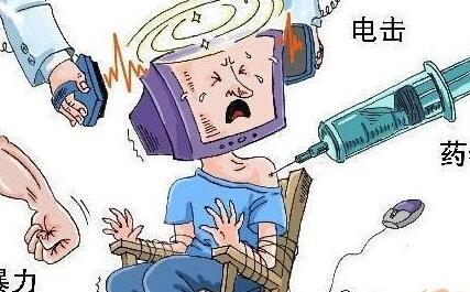 大连男子市场遇害案嫌犯被捕，科技助力正义之路，智能安防系统体验报告