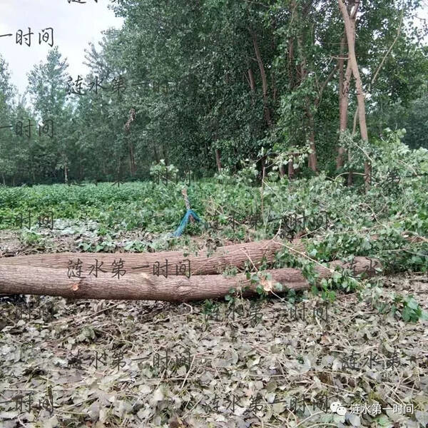 机械设备维护 第1135页
