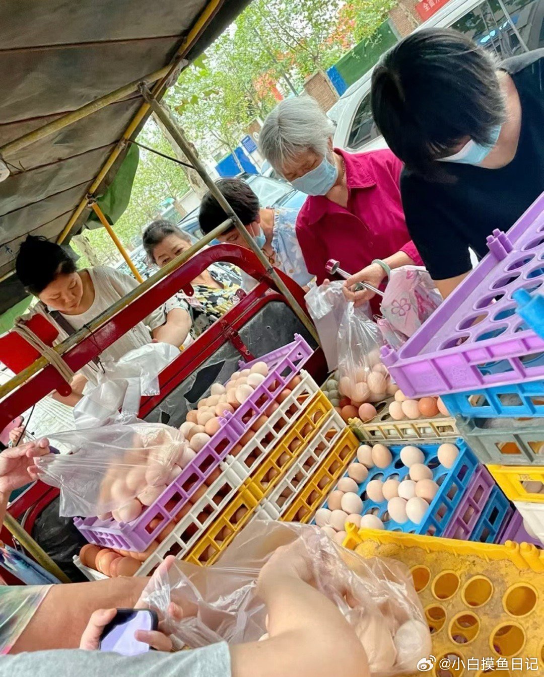 老人扫码领免费鸡蛋遭遇，意外开启免密支付之旅