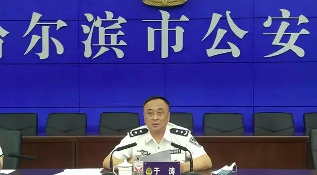 警虎于涛与四大家族案，深度剖析及观点阐述