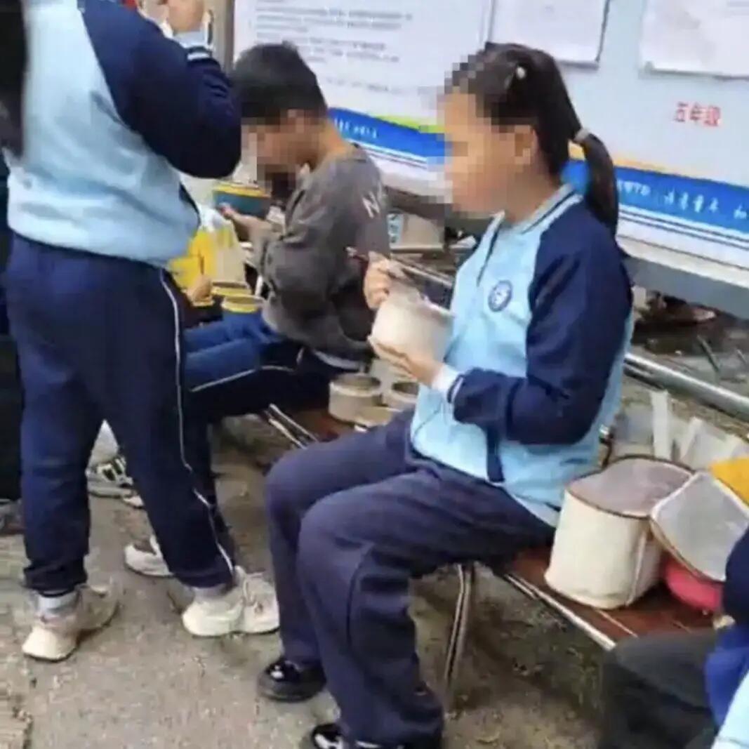 关于学生带饭只能室外用餐的回应，详细步骤指南与解读