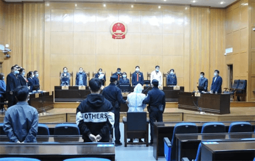 男子捂死87岁母亲欲自杀事件，二审宣判背后的爱与陪伴反思