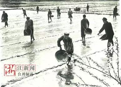 农民工逆袭之路，从职业背债人到光芒重生之路