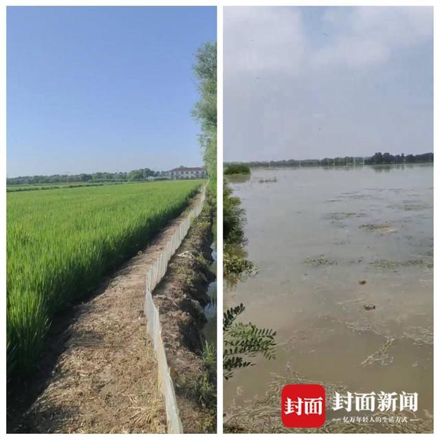 辽宁盘锦遭遇海水倒灌街道淹水危机，应对步骤指南