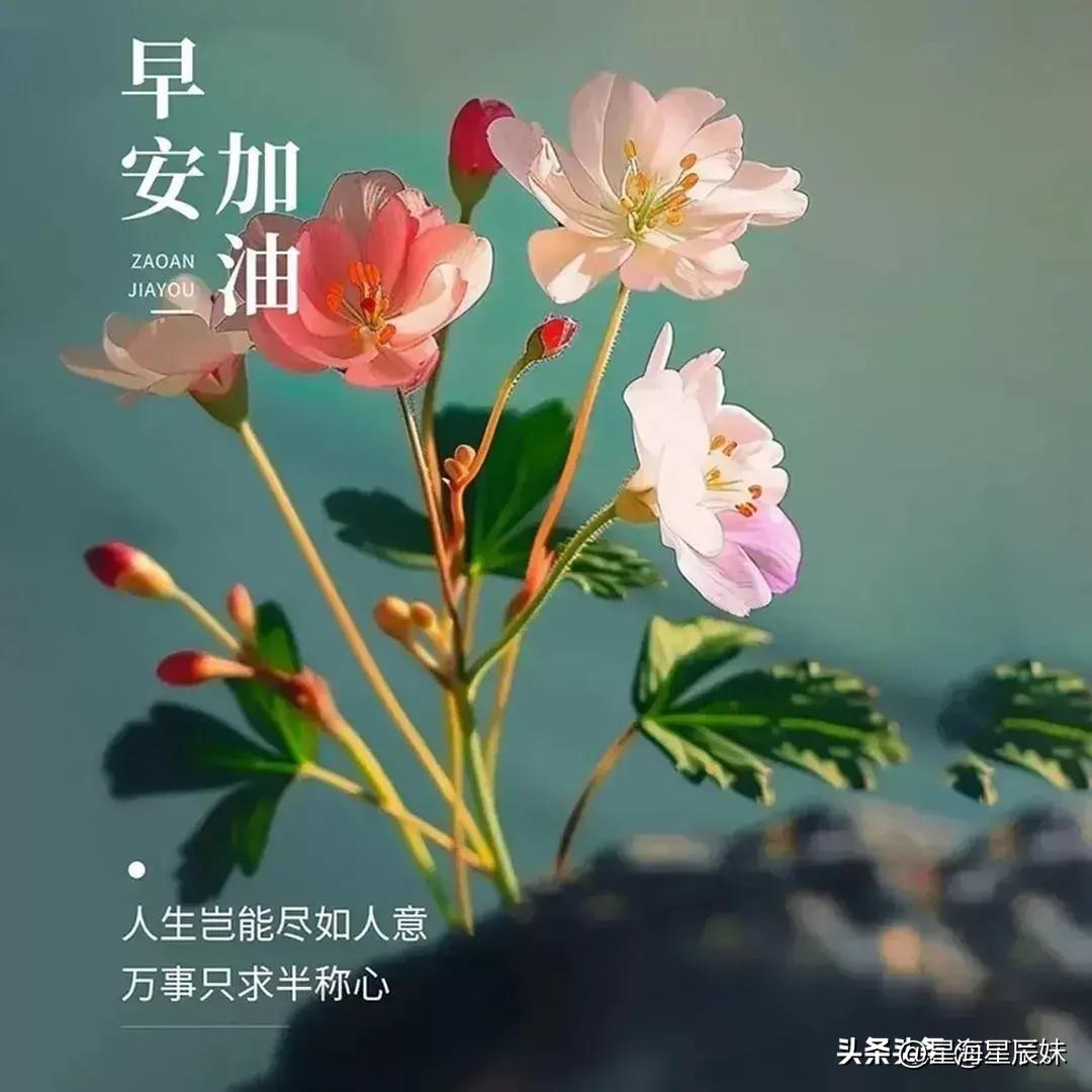 2024天天彩全年免费资料，全面解答解释落实_iPhone68.58.96