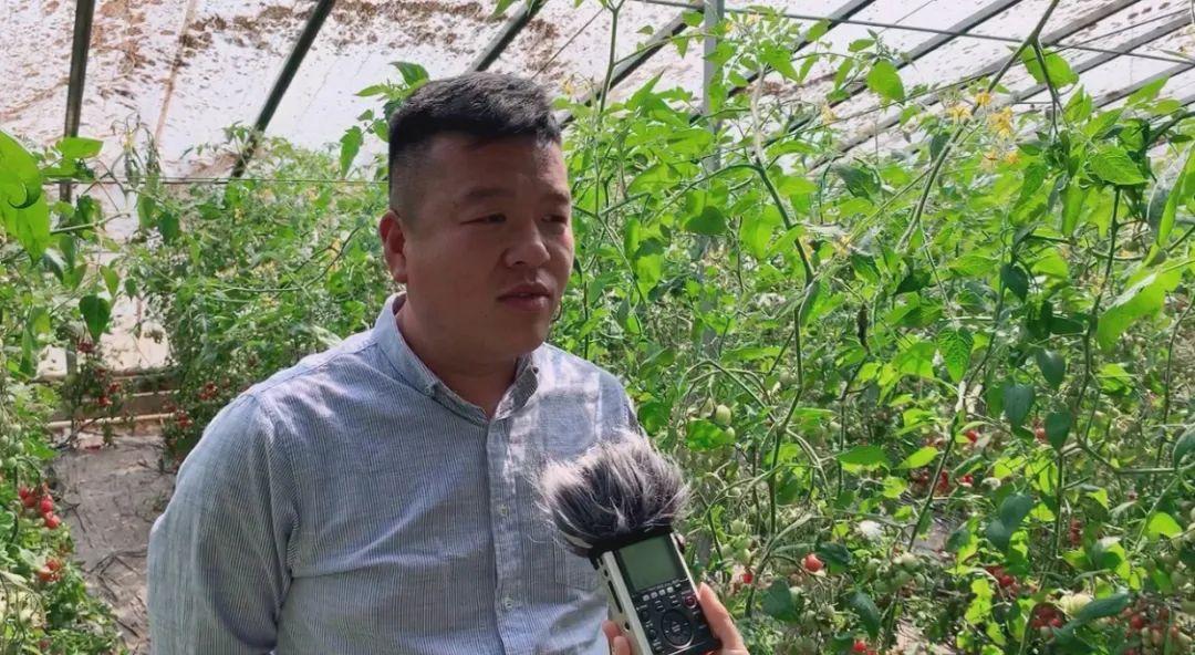 科技之光，光伏应用引领未来，多家公司投身光伏产业探索