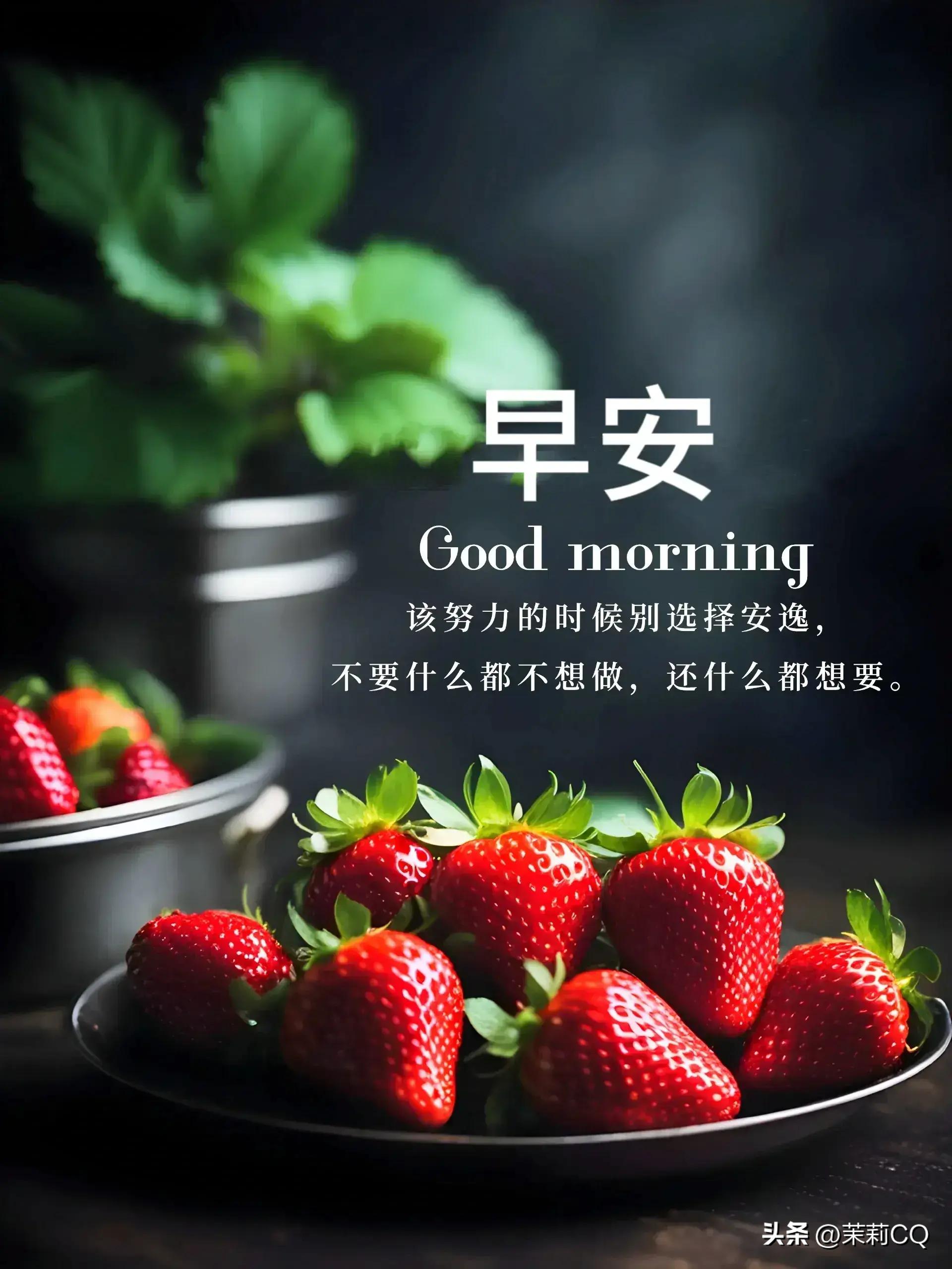 2024年天天彩资料免费大全，最新热门解答落实_WP98.33.9