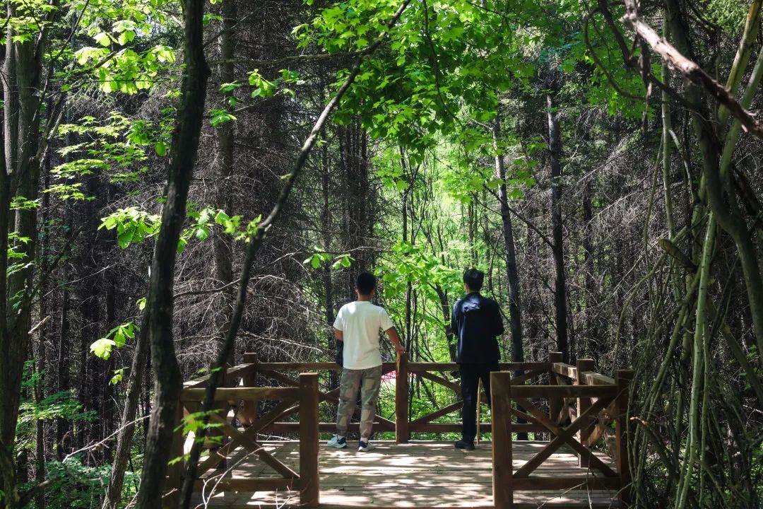 尧明体育，探索自然美景，寻找内心平静的旅程