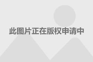 揭秘T5轮胎的秘密，日常小故事与轮胎选择探讨