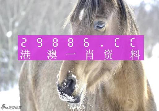 澳门精准一肖一码100%,详细解答步骤解释_全能版91.839