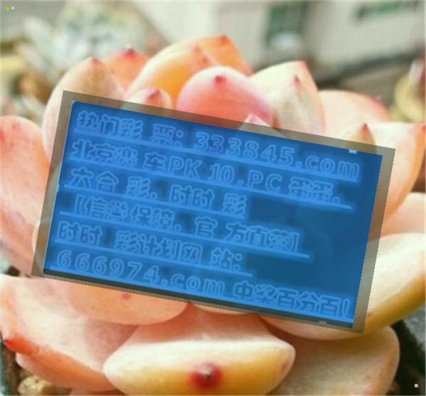 管家婆一码一肖资料大全四柱预测,分辨解答解释落实_管控版74.855