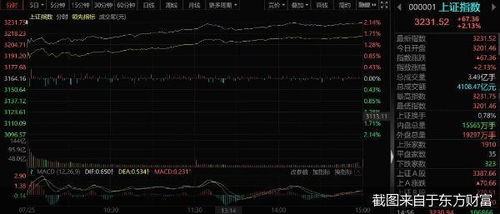A股大爆发，集体上涨的投资热潮与小巷特色小店的魅力