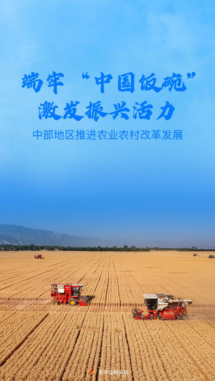 端牢中国饭碗的底气与自信