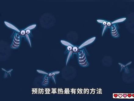 广东一周新增登革热病例，温馨故事展现抗疫温情时刻