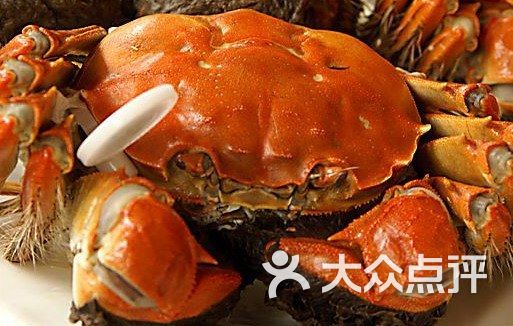 小巷特色小店 第8页