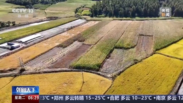 全国秋粮收获高峰来临，科技助力丰收新篇章启动！