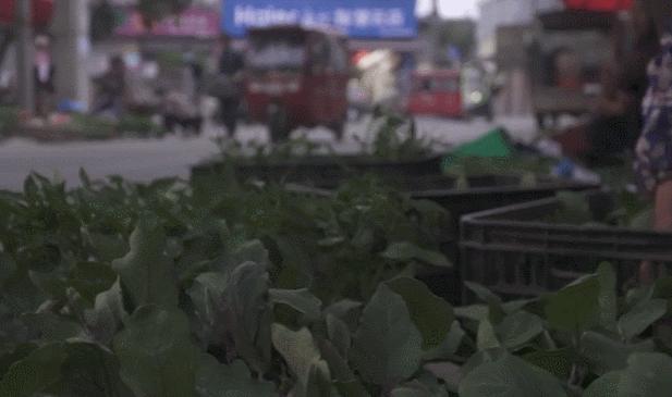 孙子结婚，奶奶卖菜攒万元见证智能生活新篇章