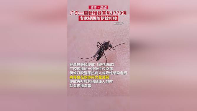 广东一周新增登革热病例达1770例，挑战与自信展现应对能力