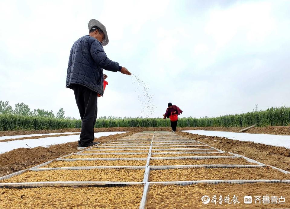 全国秋粮收获高峰与小巷美食探秘的双重魅力