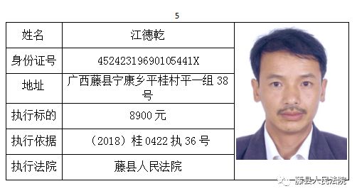 最新网上通缉犯名单及其观点论述