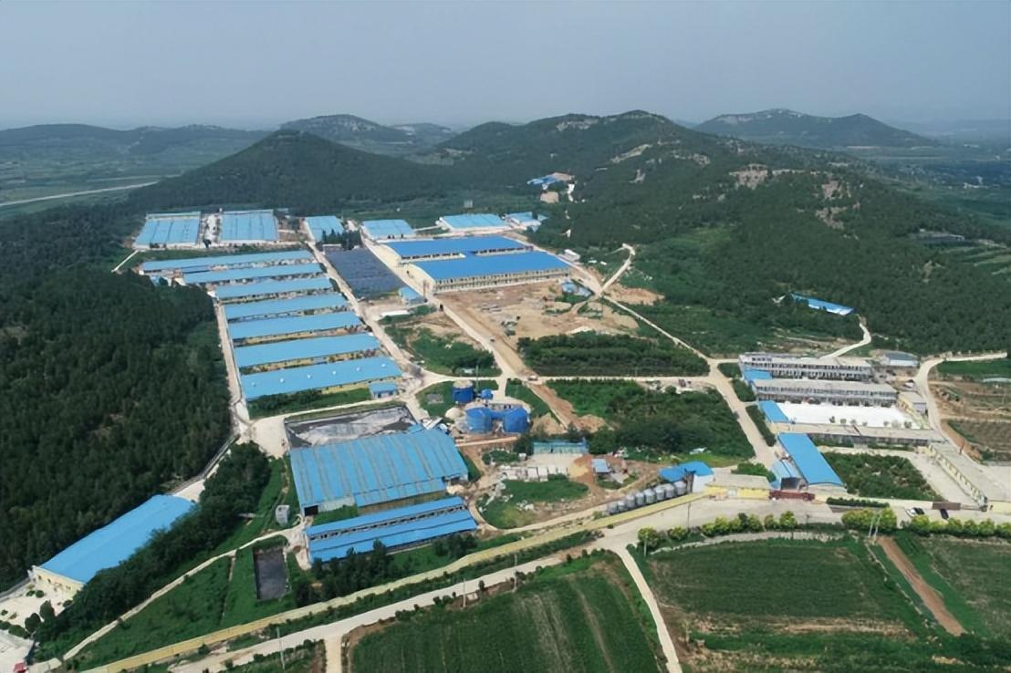 长清科技新品引领未来生活新潮流，最新消息全解析