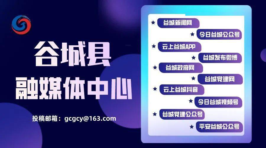 谷城最新招聘信息大全，求职全步骤指南