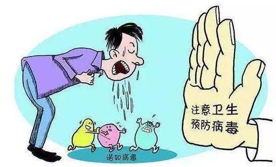 山东传染病疫情最新情况报告更新，最新动态与进展分析