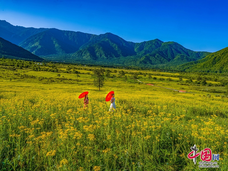 揭秘自然美景之旅，探索1024最新地址一二三的魔力