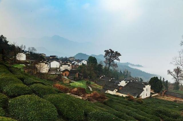 世纪鼎利引领自然美景探索之旅，寻找内心平静之旅启程