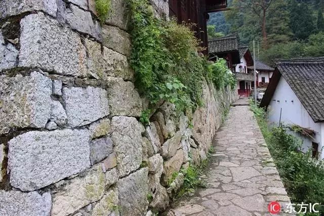 成贵铁路最新动态与小巷独特小店探秘之旅