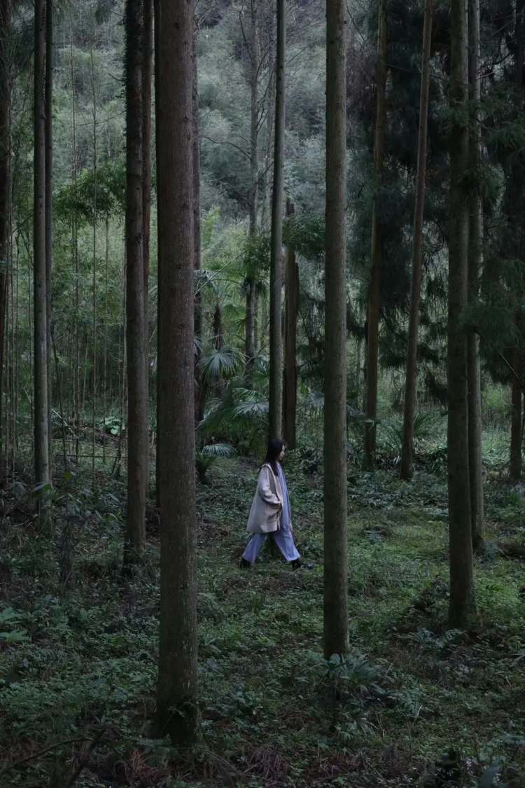 最新黑板,最新黑板，一场自然美景的探险之旅，寻找内心的平和宁静