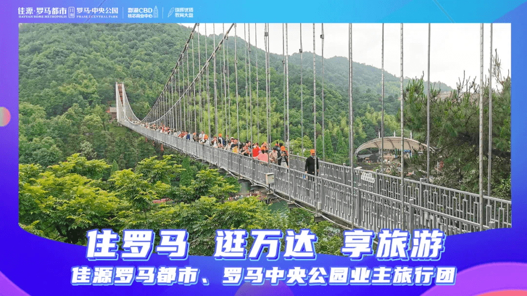 水莓100最新，励志之旅的自信源泉与成就感的启迪