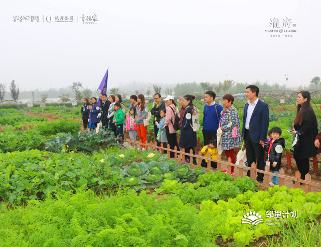 岗埠农场最新动态，绿意盎然中的温情日常