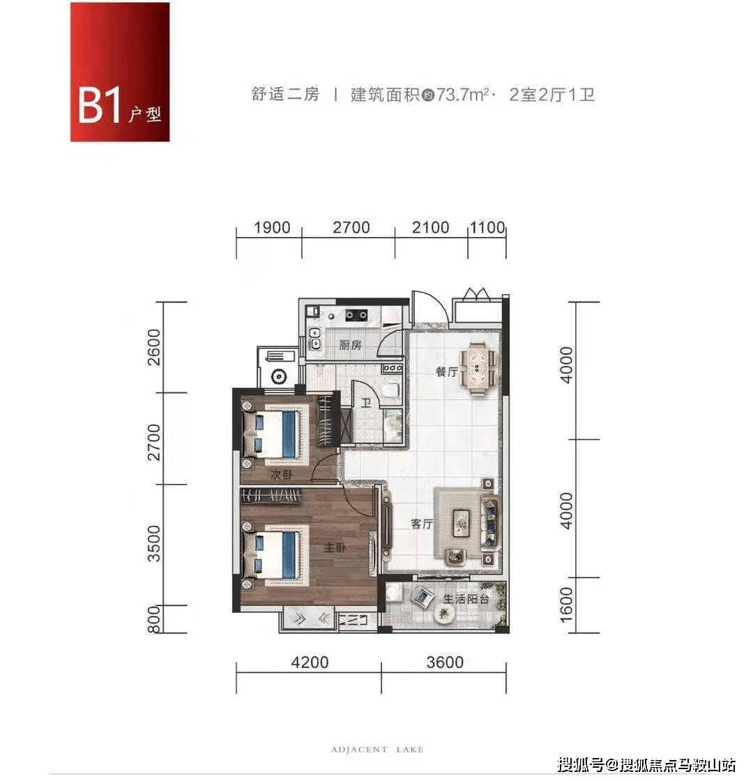 三元股份最新动态深度解析与观点阐述