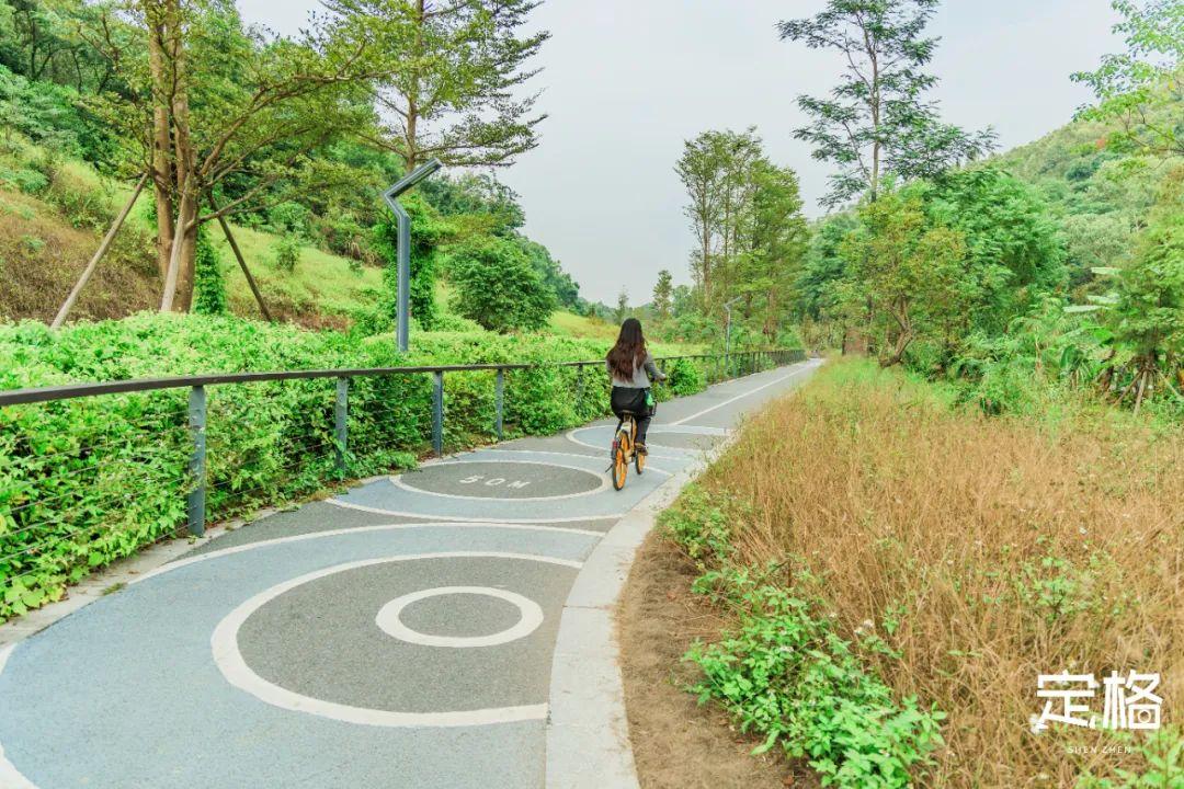 深圳平湖最新招聘，启程探索自然美景的治愈之旅