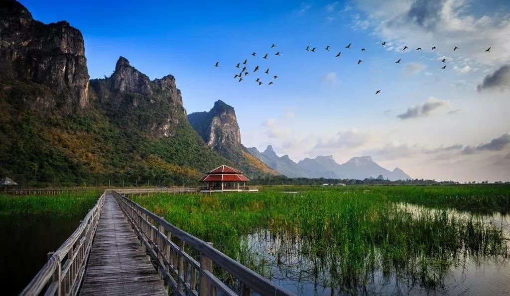关小刀最新任九，自然美景探索之旅
