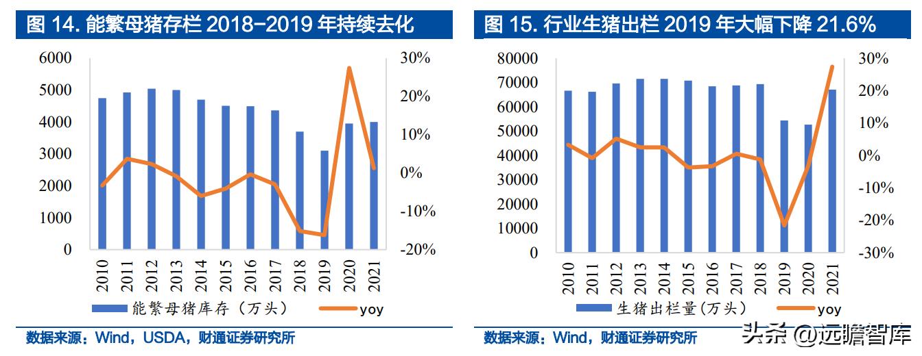 温氏最新猪价及市场走势深度解析