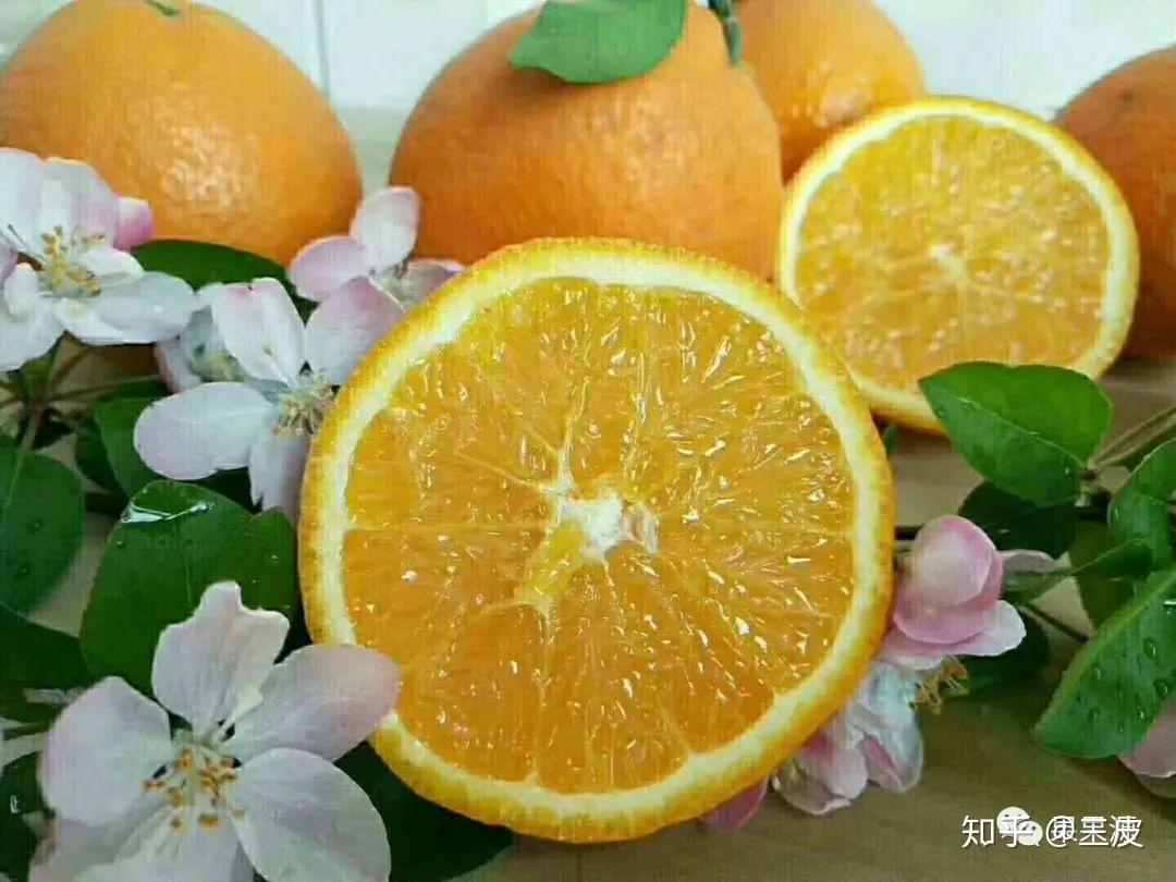 水果最新品种探索与选择指南