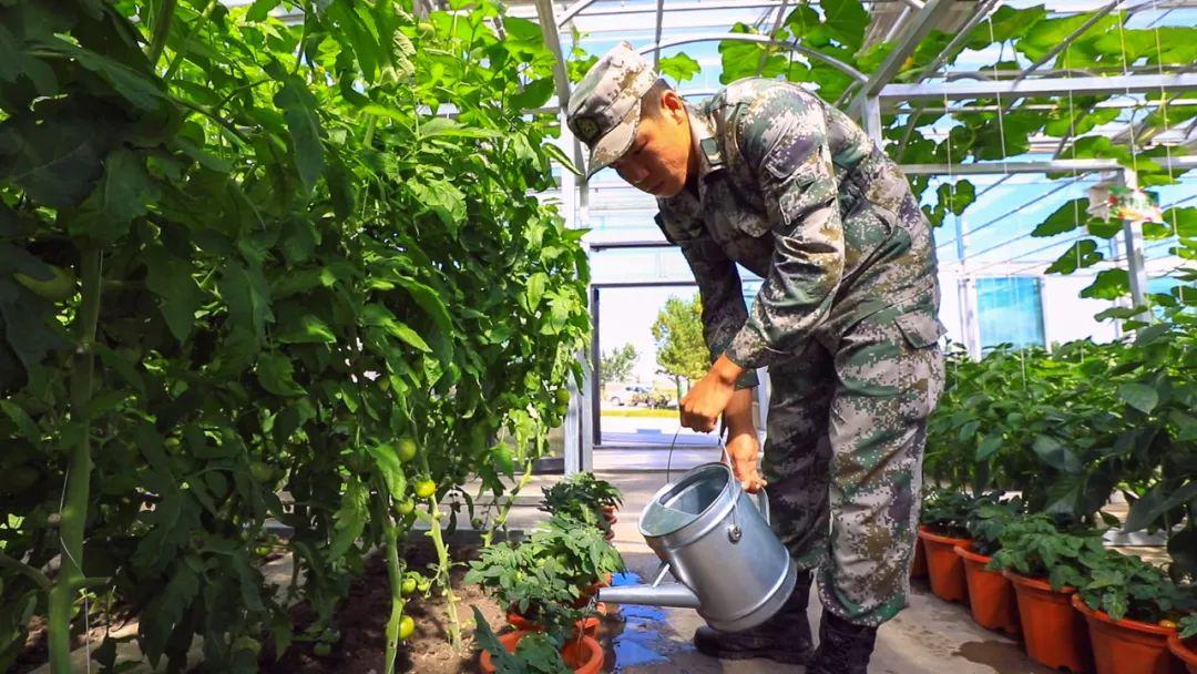 最新大棚建造方法视频解析，探索自然美景之旅，寻找内心平静之旅