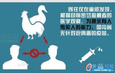 广东禽流感最新疫情动态，自信成就之路，正能量与希望之光闪耀励志之路
