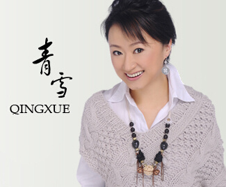 青雪最新有声小说详解，步骤指南与精彩内容展望