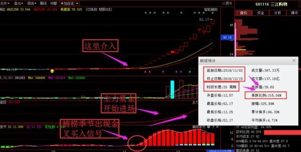 华泰股份利好消息揭秘，自然美景探索之旅正式启程！