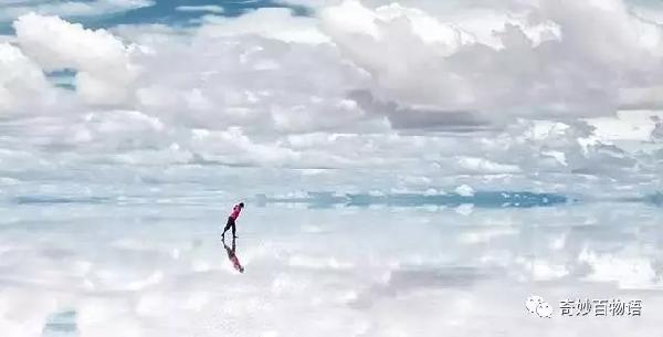 心灵与自然的奇妙之旅，最新中应消息揭秘