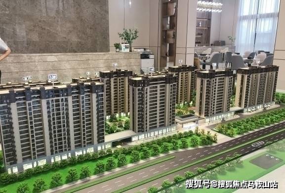 株冶最新动态，全面指南与步骤解析