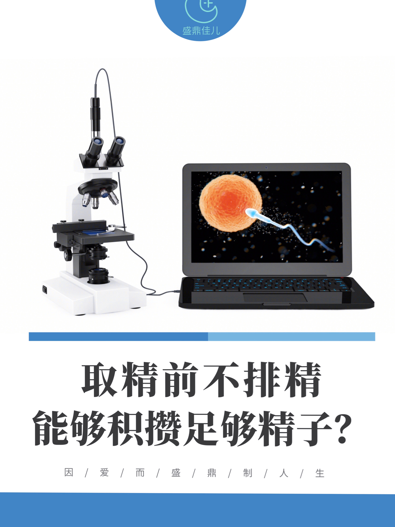 揭秘精子健康小秘密，最新资讯助你了解窝精子动态🔥