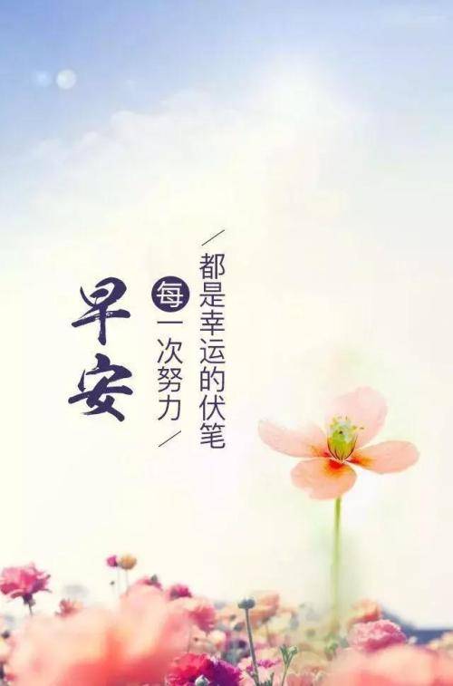 最新早安均科技产品介绍，开启智能生活新篇章