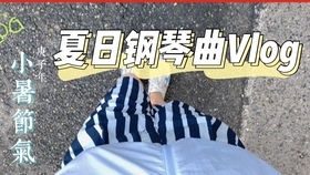 爱与陪伴的温馨日常故事，最新暴力片下的柔情解读