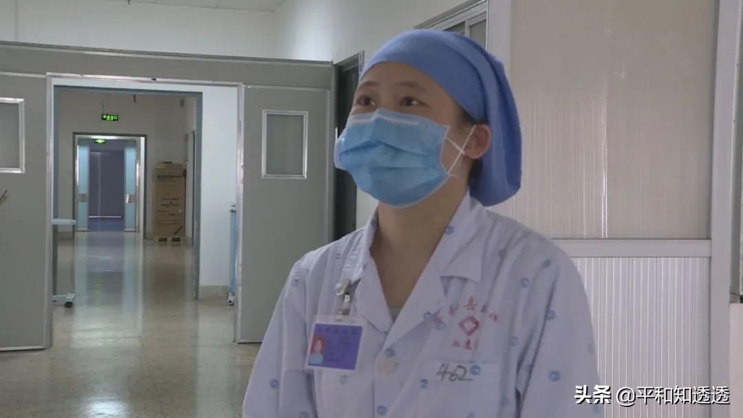 武汉最新资讯，探索自然美景之旅，寻找内心平和的旅程
