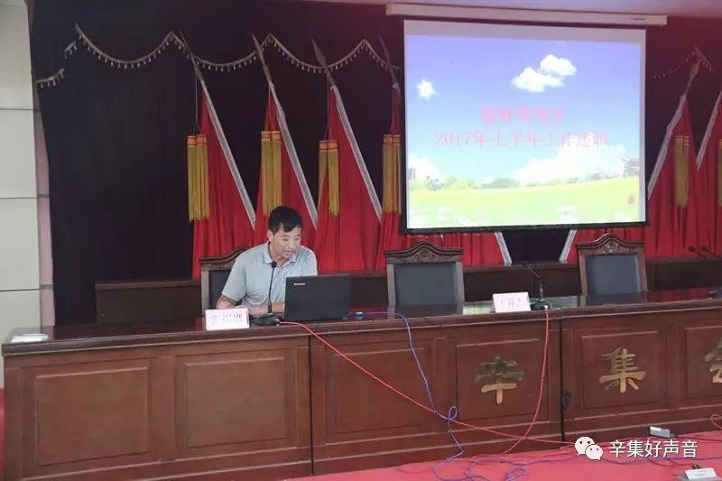 河北辛集最新概况概览